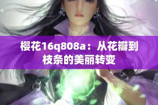 櫻花16q808a：從花瓣到枝條的美麗轉(zhuǎn)變