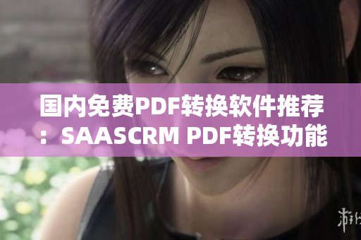 國內(nèi)免費(fèi)PDF轉(zhuǎn)換軟件推薦：SAASCRM PDF轉(zhuǎn)換功能評測及使用指南